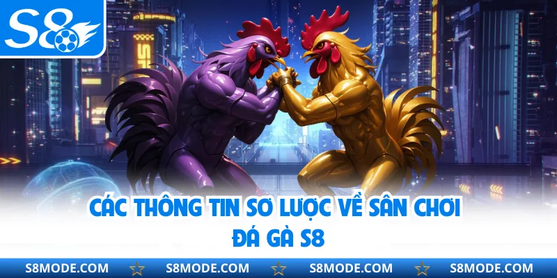 Các thông tin sơ lược về sân chơi đá gà S8