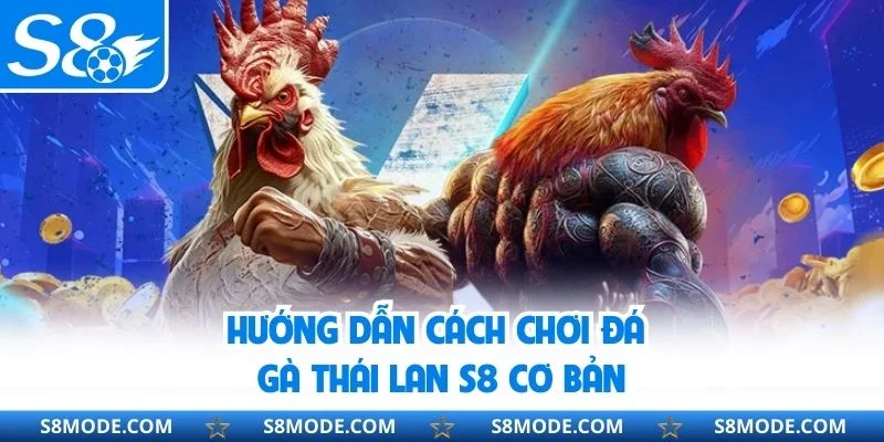 Hướng dẫn cách chơi đá gà Thái Lan S8 cơ bản
