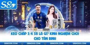 Kèo Chấp 3/4 S8 Là Gì? Kinh Nghiệm Chơi Cho Tân Binh