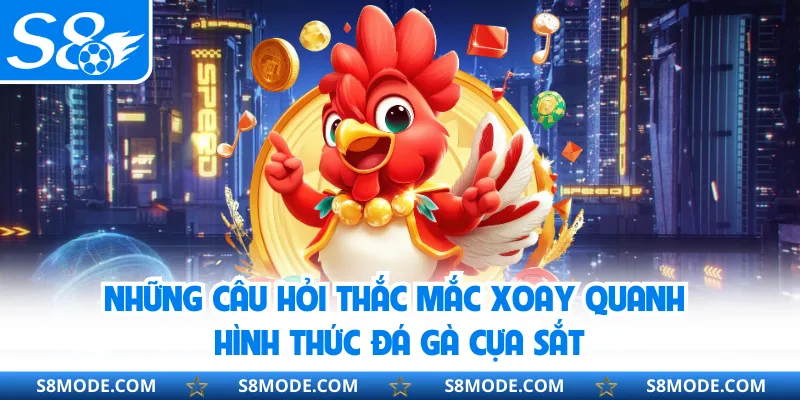 Những câu hỏi thắc mắc xoay quanh hình thức đá gà cựa sắt