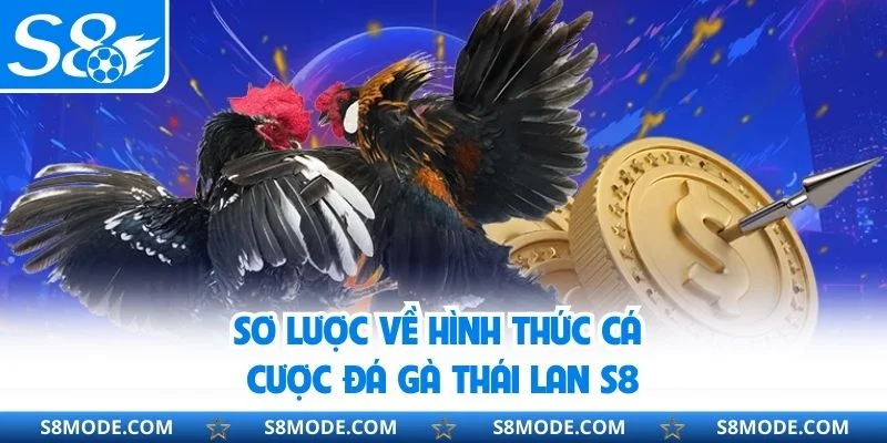 Sơ lược về hình thức cá cược đá gà Thái Lan S8