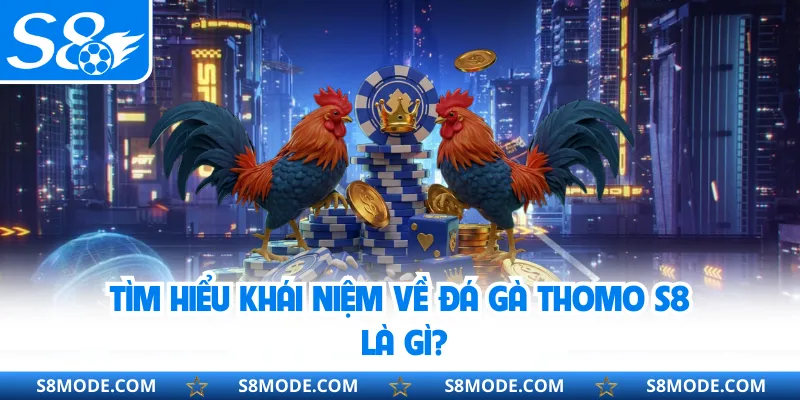 Tìm hiểu khái niệm về đá gà Thomo S8 là gì?